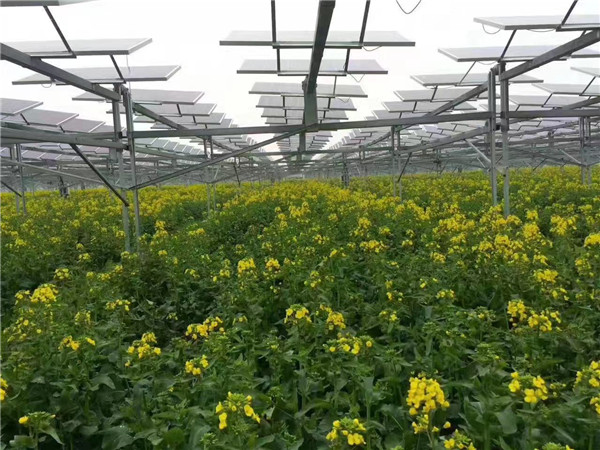太陽能光伏裝機(jī)